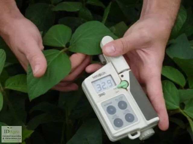 Medición de una hoja de cultivo con un equipo SPAD